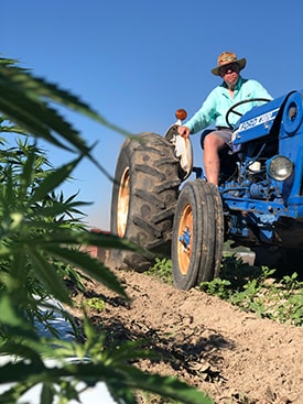 Man on Tractor